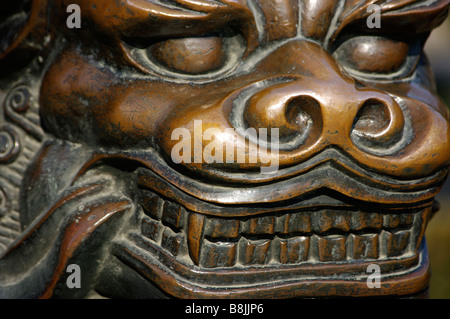 Maintien de la Garde côtière canadienne dans un temple bouddhiste, le grand chien foo bronze éloigne le mal. Bouddha, les moines, de la Chine au Tibet qu'ils protègent. Banque D'Images