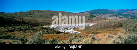 Lac tacheté est un minéral Lake près d'Osoyoos, dans le sud de la vallée de l'Okanagan en Colombie-Britannique, Canada Banque D'Images