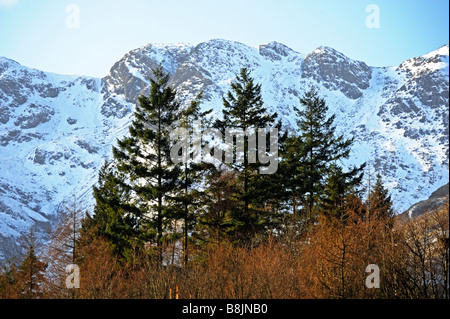 Crinkle Crags en hiver. Elterwater. Parc National de Lake District, Cumbria, Angleterre, Royaume-Uni, Europe. Banque D'Images