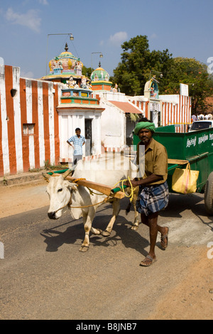 Madurai Tamil Nadu Inde Thiruchuli panier collecte des déchets locaux Village Banque D'Images