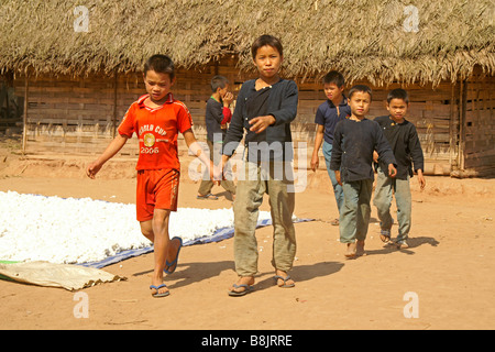 Les garçons du village de Ban Lanten Nam Lu, Namtha Province, Laos ; séchage coton sur le sol. Banque D'Images