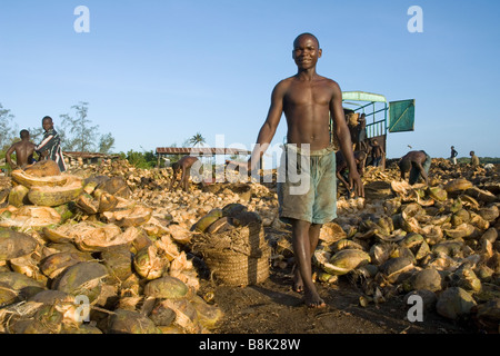 Chargement des travailleurs sur un camion de coco après le shell a été retiré de la Tanzanie de Pangani Banque D'Images