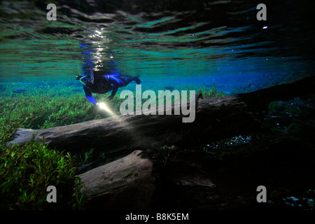 Free diver explore le paysage sous-marin vers le bas flottant Baia Bonita River Aquario Natural Bonito Mato Grosso do Sul, Brésil Banque D'Images