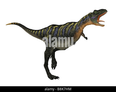 Dinosaure Aucasaurus isolé sur fond blanc Banque D'Images
