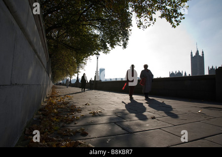 Un après-midi d'automne sur le chemin de randonnée sur la rive sud de la Tamise, avec le Parlement dans l'arrière-plan. Londres, Angleterre Banque D'Images