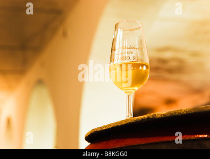 Montilla Cordoba Province Espagne Bodegas Navarro intérieur Verre de Montilla Fino ou vin blanc sec sur le dessus du canon Banque D'Images