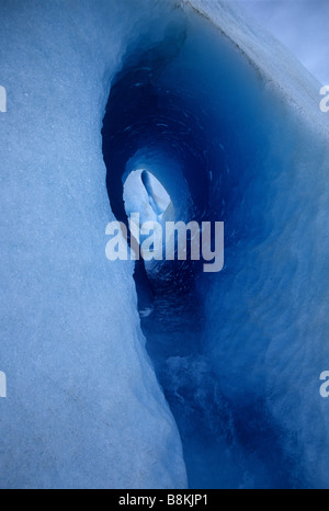 La caverne de glace en surface de glacier Grey, parc national Torres del Paine, Patagonie, Chili Banque D'Images