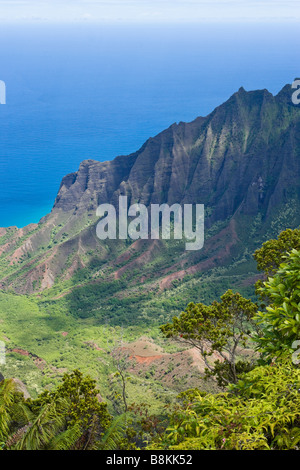 Vue de la vallée Kalalau et l'océan Pacifique de Kokee State Park Kauai Hawaii USA Banque D'Images