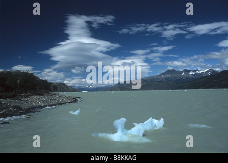 Lake Gray et iceberg, Parc National Torres del Paine, Patagonie, Chili Banque D'Images