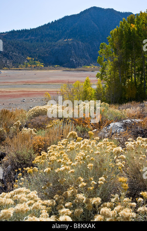 Le lac Grant presque vide en raison de la sécheresse en boucle du lac Juin Sierra Nevada Californie, États-Unis d'Amérique Banque D'Images