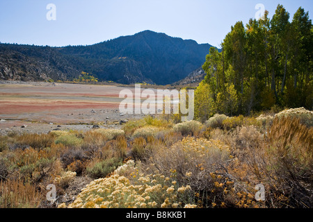 Le lac Grant presque vide en raison de la sécheresse en boucle du lac Juin Sierra Nevada Californie, États-Unis d'Amérique Banque D'Images