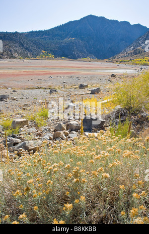 Le lac Grant presque vide en raison de la sécheresse en boucle du lac Juin Sierra Nevada Californie, États-Unis d'Amérique Banque D'Images