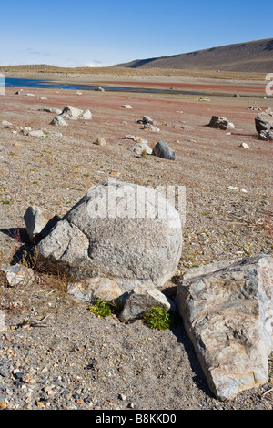 Le lac Grant presque vide en raison de la sécheresse en boucle du lac Juin Sierra Nevada Californie, États-Unis d'Amérique Banque D'Images