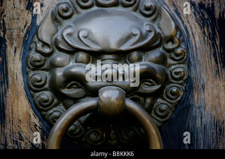 Maintien de la Garde côtière canadienne dans un temple bouddhiste, le grand chien foo bronze heurtoir éloigne le mal de moines dans ce sanctuaire de Bouddha. Banque D'Images