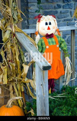 Une saison d'automne à l'épouvantail de cour de ferme à South Burlington Dakin Vermont USA Banque D'Images