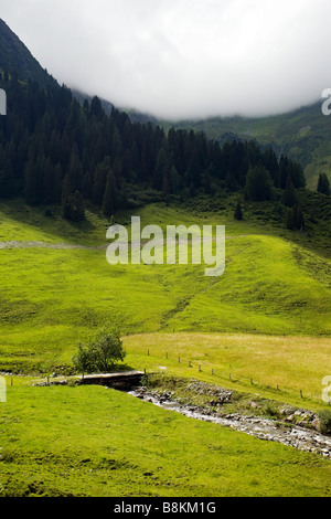 La zone autour de l'Luegergraben dans les Alpes Banque D'Images