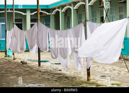 corde à linge Banque D'Images