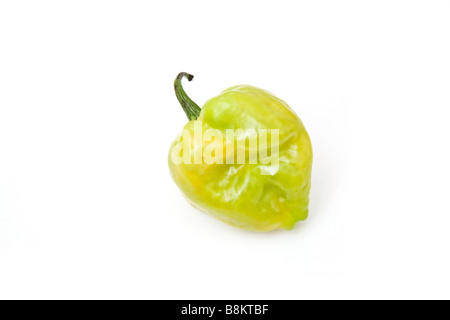 West Indian poivre Scotch Bonnet isolated on a white background studio Banque D'Images