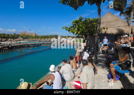 Domaine Les dauphins parc archéologique écologique Xcaret Playa del Carmen Quintana Roo Riviera Maya état péninsule du Yucatan Mexique Banque D'Images