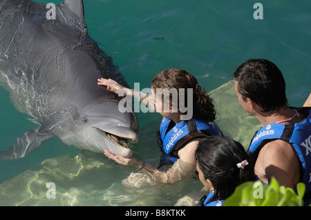 Domaine Les dauphins parc archéologique écologique Xcaret Playa del Carmen Quintana Roo Riviera Maya état péninsule du Yucatan Mexique Banque D'Images