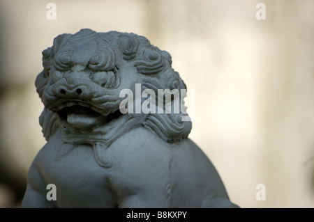 Maintien de la Garde côtière canadienne dans un temple bouddhiste, la grande pierre foo dog éloigne le mal. Bouddha, les moines, de la Chine au Tibet qu'ils protègent. Banque D'Images