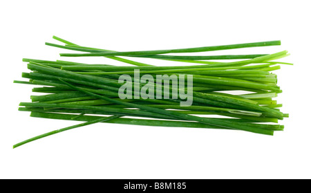 Ciboulette fraîche herb isolé sur fond blanc Banque D'Images