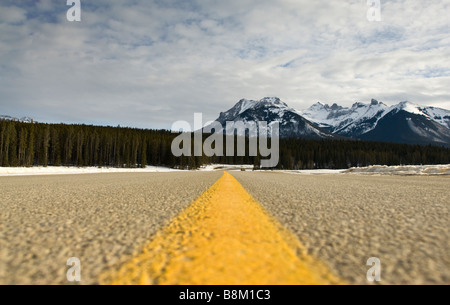 Bande jaune sur un parc national de Banff en Alberta, Canada. Banque D'Images