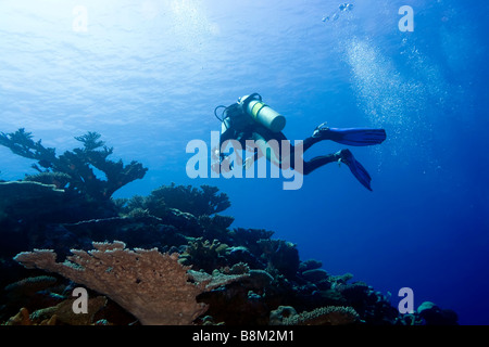 Plongeur avec caméra dans des bulles et photographe sous-marin Banque D'Images