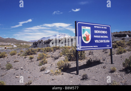 Panneau d'entrée, volcan Isluga en arrière-plan, le Parc National Isluga, Chili Banque D'Images