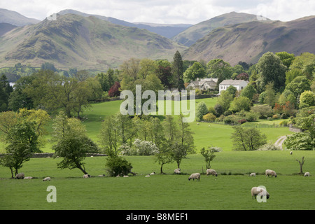 Lake District, Cumbria. Scène rurale dans le district du lac avec l'Helvellyn de montagnes en arrière-plan. Banque D'Images