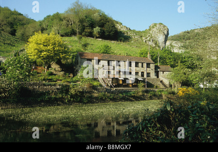 Hillside Cottage tea rooms, Cheddar Gorge, Somerset, Angleterre, en photo au début de l'été. Banque D'Images