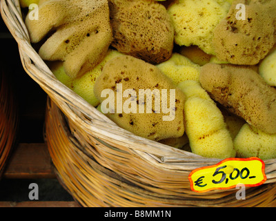 Un panier d'éponges de mer naturelles en vente à Rethymnon Crète Grèce Banque D'Images