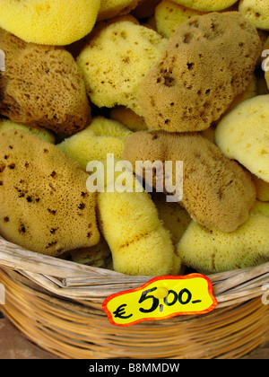 Un panier d'éponges de mer naturelles en vente à Rethymnon Crète Grèce Banque D'Images