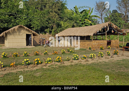 Bungalows à Sauraha village Parc national de Royal Chitwan, Népal Banque D'Images