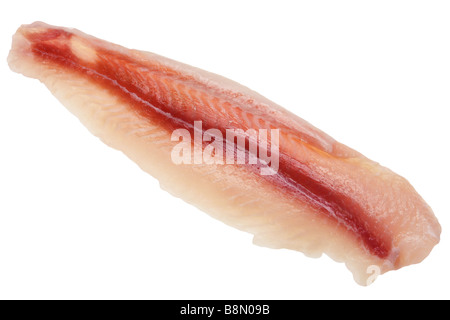 Filet de poisson et fruits de mer détails sur fond blanc Banque D'Images