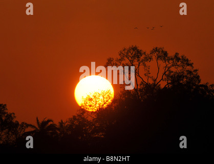 Lever du soleil en Gambie, Afrique de l'Ouest Banque D'Images