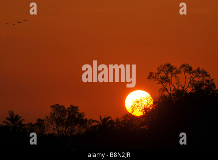 Lever du soleil en Gambie, Afrique de l'Ouest Banque D'Images