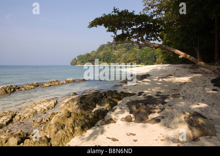 Andaman et Nicobar Inde Havelock island Radha Nagar numéro 7 plage du lagon à marée basse Banque D'Images