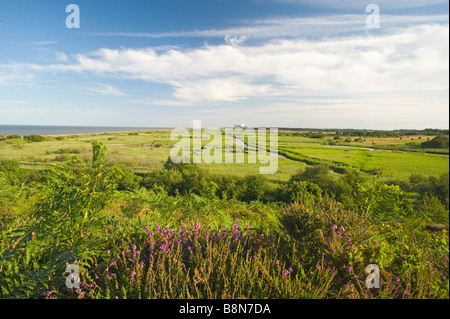 Vue sur la réserve RSPB Minsmere de Dunwich Juillet Suffolk Banque D'Images