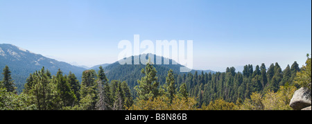 Le Parc National Kings Canyon Panorama, California USA Banque D'Images