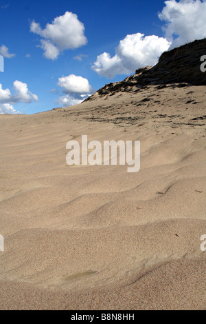 Dunes de sable dans le Hanko/Parc National de Courlande en Lituanie Banque D'Images