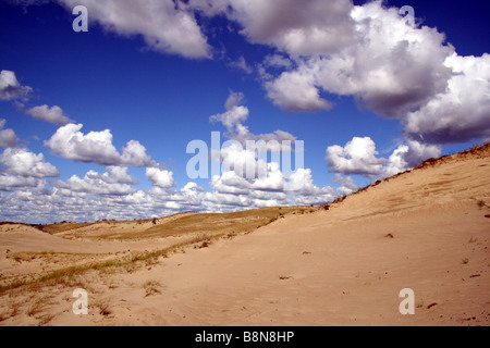 Dunes de sable dans le Hanko/Parc National de Courlande en Lituanie Banque D'Images