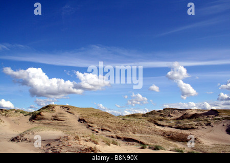 D'immenses dunes de sable à Neringa/Parc National de Courlande, Lituanie Banque D'Images