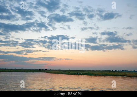 Vue panoramique d'un troupeau d'éléphants éloignés aux côtés d'alimentation la rivière Chobe au crépuscule Banque D'Images