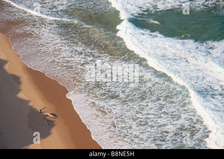 Vue aérienne de vagues rejetés sur la plage au Mozambique Banque D'Images