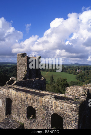 Dinefwr vieux château Llandeilo Carmarthenshire West Wales UK Banque D'Images