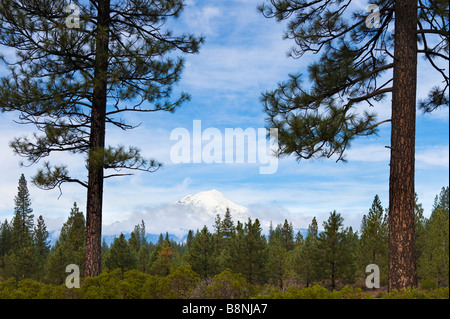 Le mont Shasta de SR 89 (CA), le nord de la Californie, USA Banque D'Images