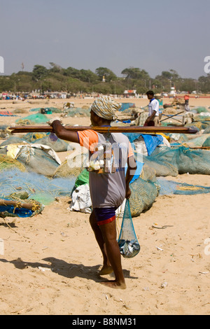 L'Inde Tamil Nadu Chennai beach fisherman walking home avec de maigres captures Banque D'Images