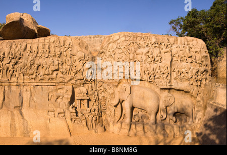 L'Inde Tamil Nadu Mamallapuram Arjunas pénitence Hindu sculpture rock de l'Panchatanra la Descente du Gange Banque D'Images