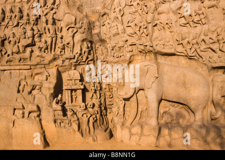 L'Inde Tamil Nadu Mamallapuram Arjunas pénitence Hindu sculpture sur pierre de l'ancienne livre Panchatanra Banque D'Images